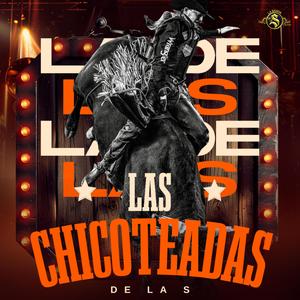 LAS CHICOTEADAS DE LA S