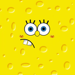 京城的雪落不到江南dj