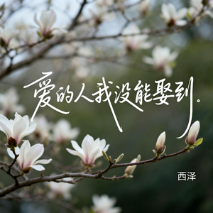 爱的人我没能娶到（抖音热播版）