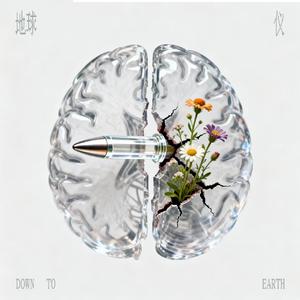 艺术家捕捉计划