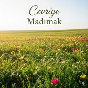 Madımak