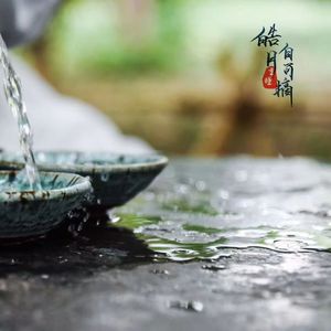 皓月自可摘