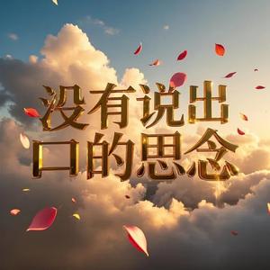 没有说出口的思念 (DJ版)