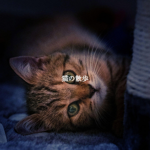 Spectacular Coffee in Tokyo