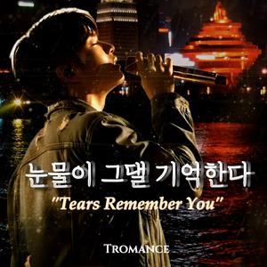 눈물이 그댈 기억한다 (Tears Remember You)
