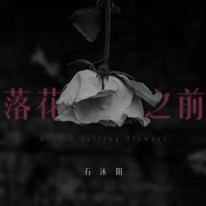花落之前