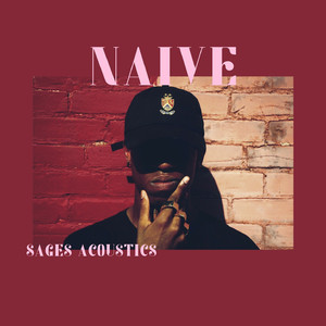 Lipizzaner Puppies Spanish