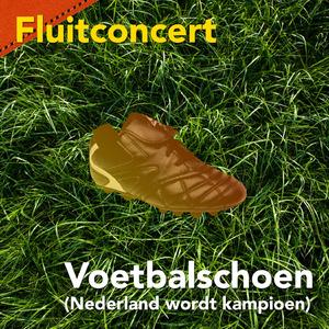 Voetbalschoen (Nederland wordt kampioen)