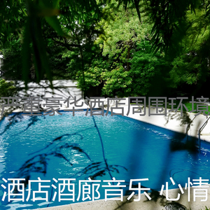 一尘不染酒店大堂印象数