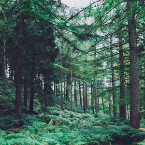 这一生关于你的风景