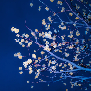 FREE 【爱你如春雪消时】Pop Type Beat