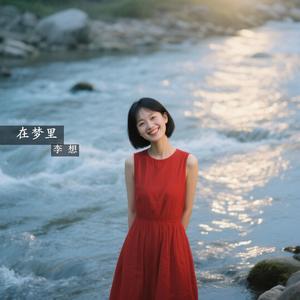 在梦里