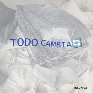 TODO CAMBIA