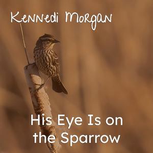 His Eye Is on the Sparrow