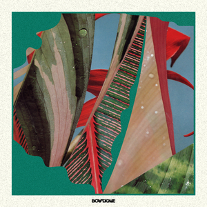 This Is An Experience