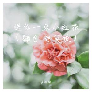 送你一朵小红花（翻自 赵英俊）