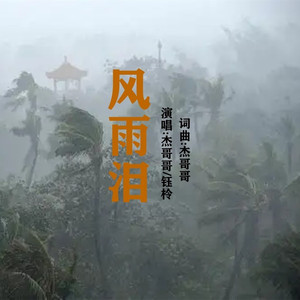 风雨泪