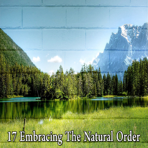 隱藏在自然的和平中