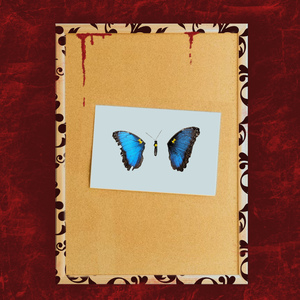 Butterfly Wings