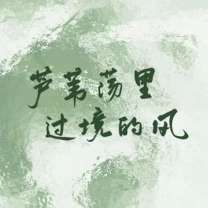 芦苇荡里过境的风 伴奏