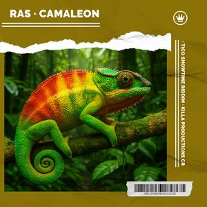 Camaleon (feat. Killa Productions CR) (Tico Showtime Riddim)