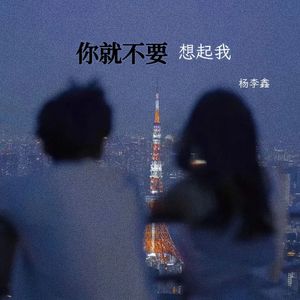 你就不要想起我（重置版）