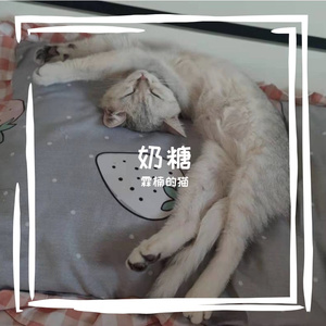 你是我六点十分的想念