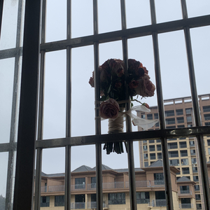 我不愿忘记你的眼睛