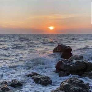 Tribute Band (热播版)