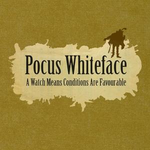 Random Bayesian Spam Filter Beater