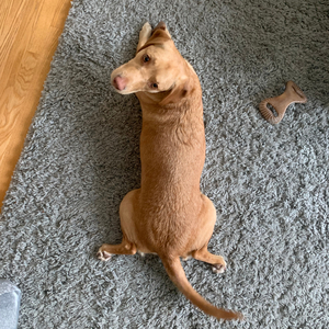 Lola (feat. BAILSXC)