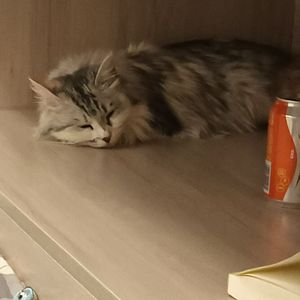 save me（Prod Siren&EVO MUSIC）