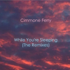 While You're Sleeping (Basslickers Remix)