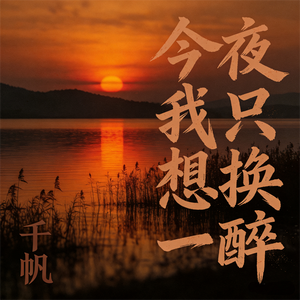 今夜我只想换一醉(伤感男版)