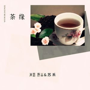 茶缘 伴奏