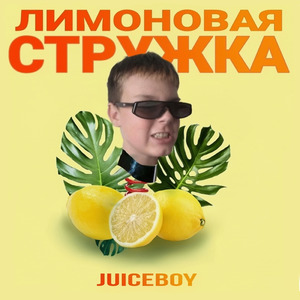 Лимоновая стружка