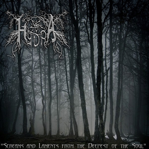 Binnacle of a Last Night