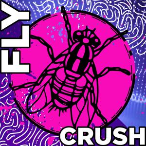 Moon Fly Crush #1310