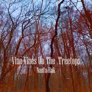 Vine Vines On The Treetops