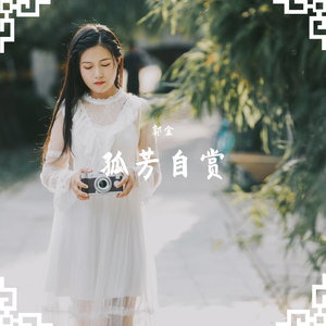 孤芳自赏（翻自 DJ阿超）