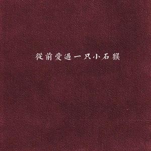 从前爱过一只小石猴