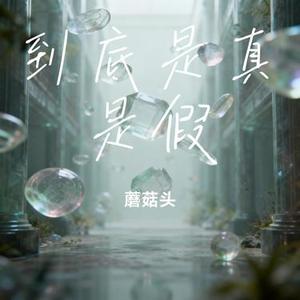 到底是真是假