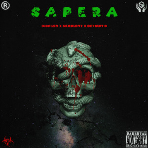 Sapera