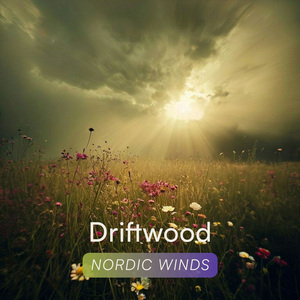 Driftwood