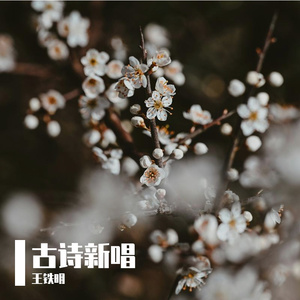 《马鸣很小，老街很短》吴海观