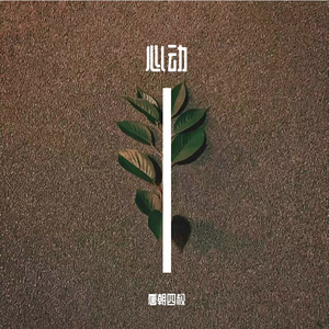 《心动 》吉他弹唱