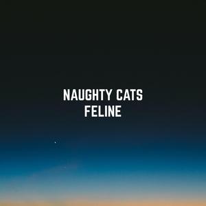 Feline