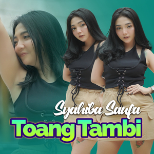 Toang Tambi