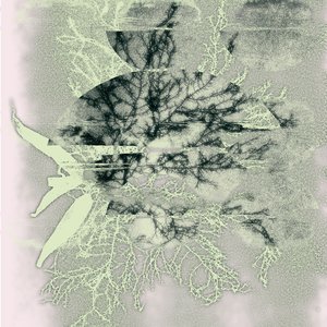 Falling on Broken Glass