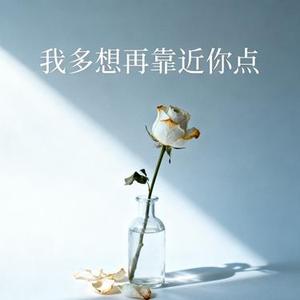 我多想再靠近一点